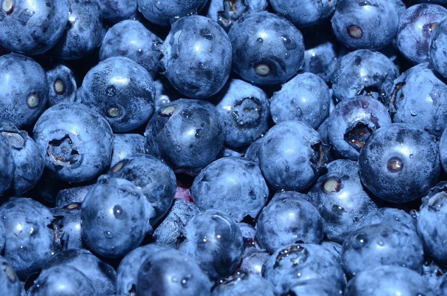 Exploring the Nutritional Benefits of Blueberries